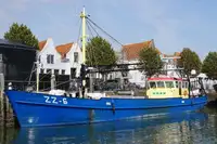 Trawler in vendita