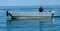Barche da lavoro in vendita