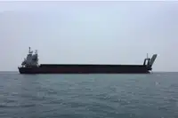 Mezzo da sbarco, carro armato in vendita