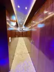 Nave da crociera in vendita