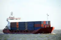 Trasportatore di merci sfuse in vendita