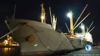 Nave refrigerata in vendita