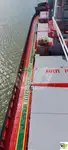 Trasportatore di merci sfuse in vendita