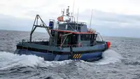 Portacontainer in vendita