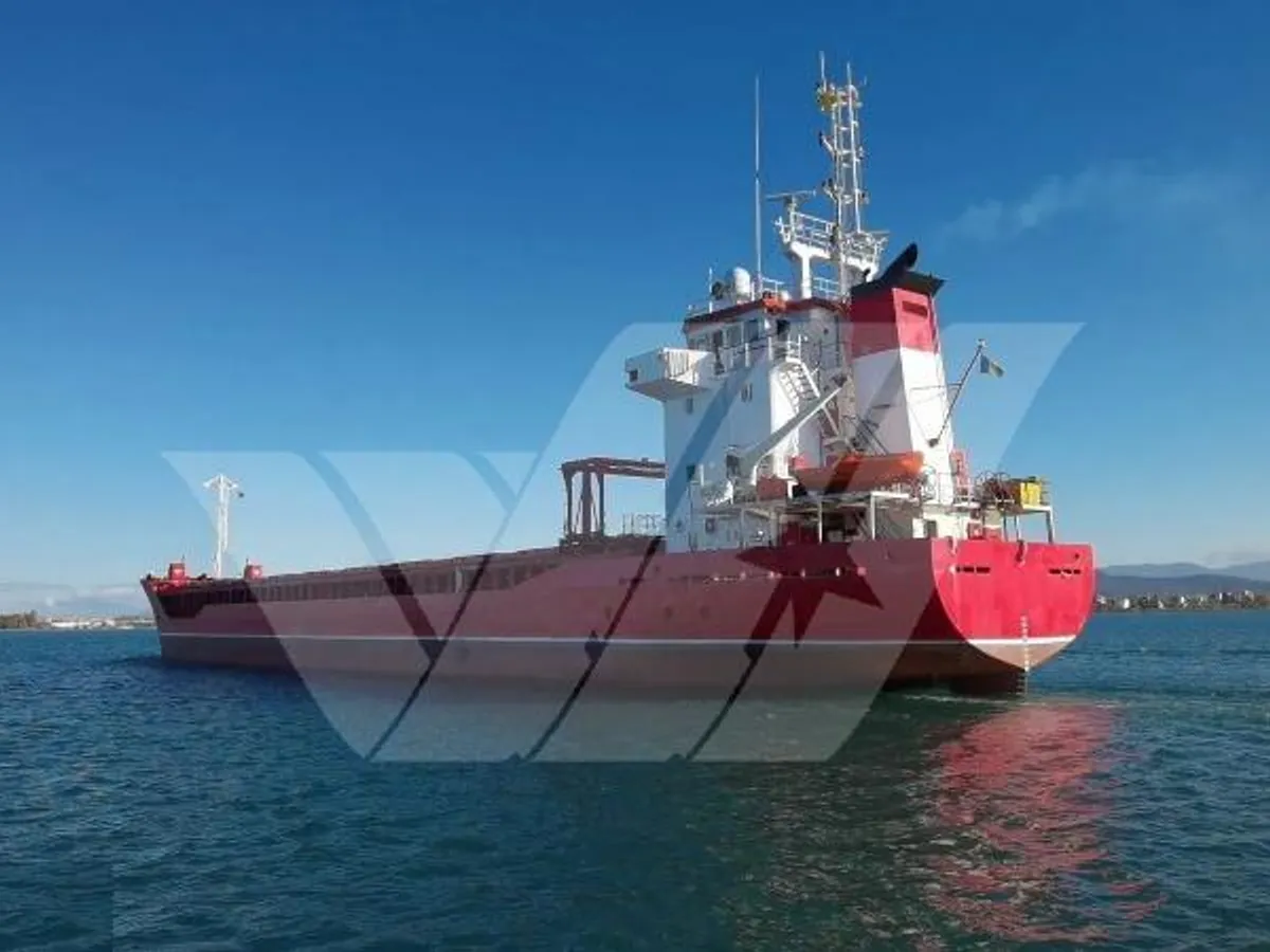 General Cargo/Multi-purpose in vendita