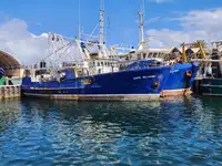 Trawler in vendita