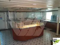 Nave Ro-Ro in vendita