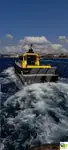 Nave di servizio per parchi eolici in vendita