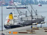 Trasportatore di merci sfuse in vendita