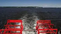 Portacontainer in vendita