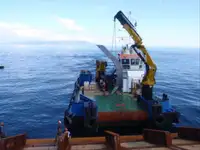 Rimorchiatore in vendita