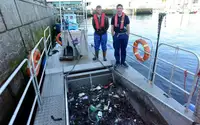 Portacontainer in vendita