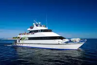 Catamarano in vendita