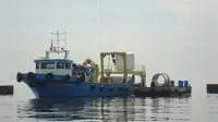 Rimorchiatore in vendita