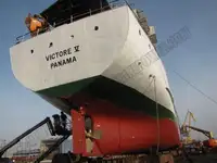 Trasportatore di merci sfuse in vendita