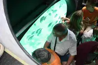 Nave passeggeri in vendita