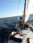 Chiatta in vendita