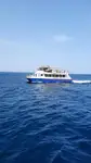 Catamarano in vendita