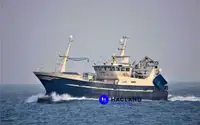 Trawler in vendita