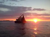 Peschereccio a strascico in vendita