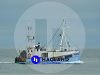 Trasportatore di pesce vivo in vendita