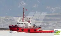 Rimorchiatore in vendita