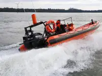 Portacontainer in vendita