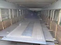Trasportatore di merci sfuse in vendita
