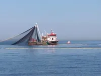 Peschereccio in vendita