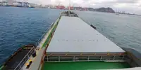 Trasportatore di merci sfuse in vendita
