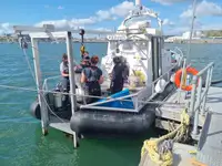 Barche da lavoro in vendita