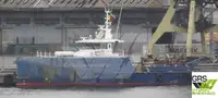 Nave di servizio per parchi eolici in vendita