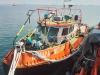 Barche da lavoro in vendita