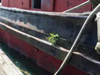 Rimorchiatore in vendita