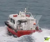 Nave di servizio per parchi eolici in vendita