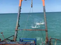 Imbarcazioni da lavoro in vendita