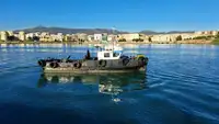 Imbarcazioni da lavoro in vendita