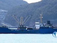Nave refrigerata in vendita
