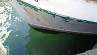 Peschereccio a strascico in vendita