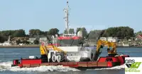 Barche da lavoro in vendita