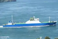 Trasportatore di merci sfuse in vendita