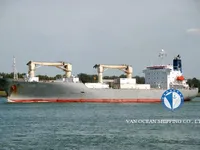 Nave refrigerata in vendita