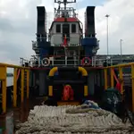 Rimorchiatore in vendita