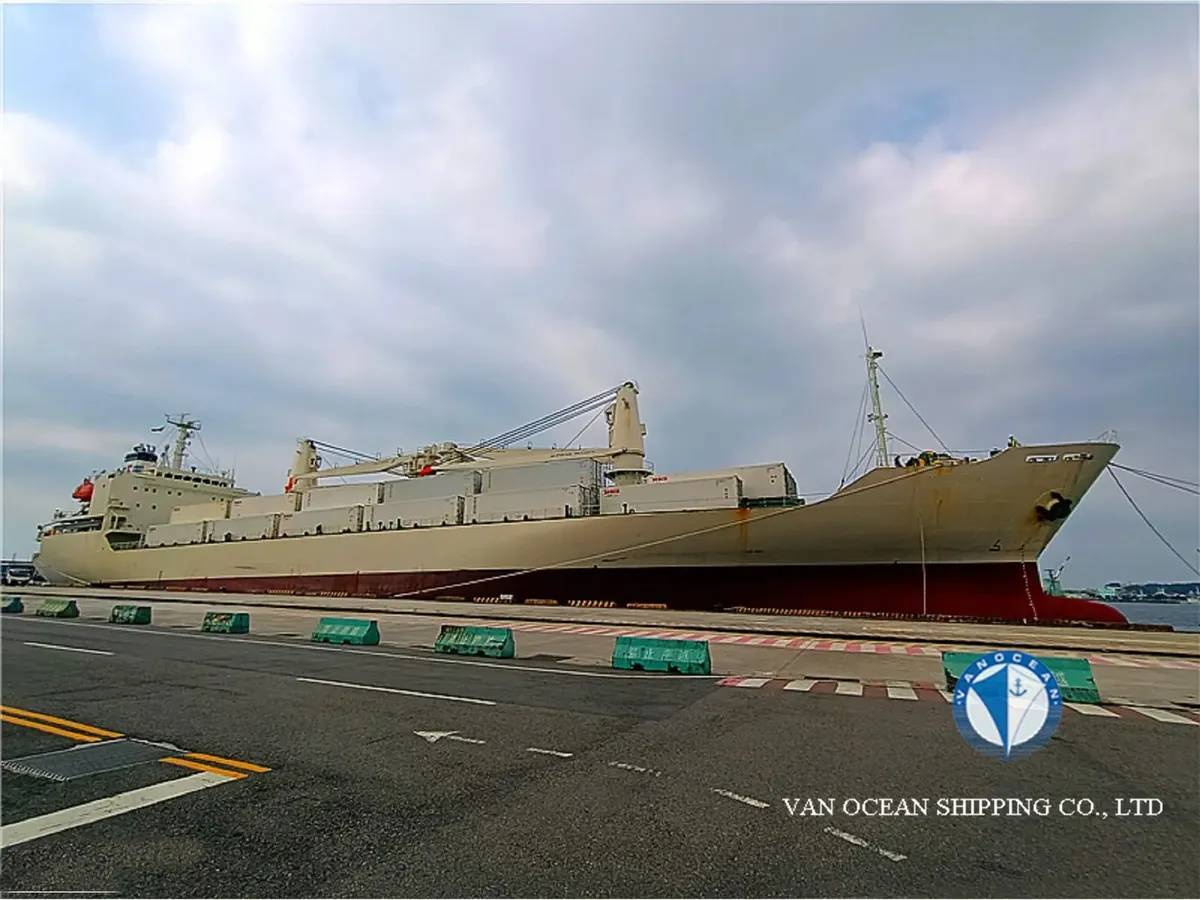Nave refrigerata in vendita