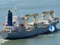 Nave refrigerata in vendita