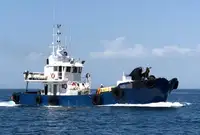 Barche da lavoro in vendita