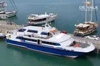Catamarano in vendita