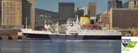 Trasportatore di merci sfuse in vendita