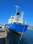 Trasportatore di merci sfuse in vendita
