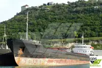 Trasportatore di merci sfuse in vendita